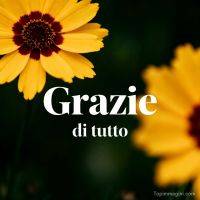 Fiori gialli su sfondo verde con scritta “Grazie di tutto”