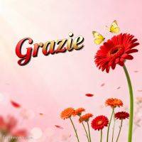 Scritta “Grazie” con gerbere rosse e arancioni e due farfalle gialle su sfondo rosa