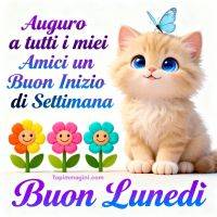 Gattino con occhi grandi e farfalla sulla testa, fiori sorridenti e scritta di auguri per il lunedì