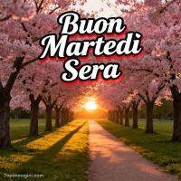 Viale alberato con ciliegi in fiore al tramonto e scritta di saluto serale