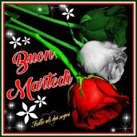 Buon Martedì
