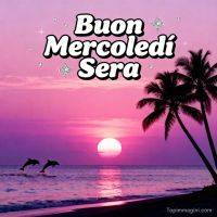 Tramonto rosa sul mare con palme e due delfini che saltano; scritta di augurio e stelle scintillanti