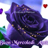 Buon Mercoledì...
