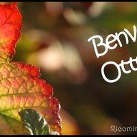 Una foglia autunnale con sfumature rosse e verdi