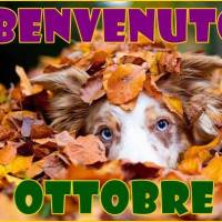 Benvenuto Ottobre