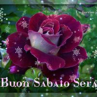 Buon Sabato Sera!