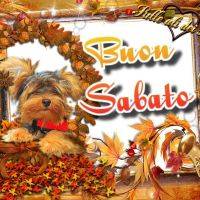 Cagnolino tra foglie autunnali e sax dorato, con scritta “Buon Sabato” e “Sulle ali dei sogni”