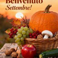 Cesto con zucca, uva, bacche, mela, fungo e zucchina su tavolo rustico al tramonto