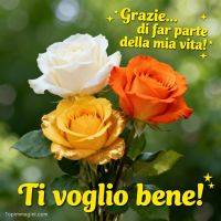 Tre rose bianca, arancione e gialla su sfondo verde con scritta di ringraziamento e affetto
