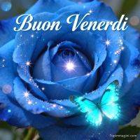 Rosa blu con scintillii e farfalla turchese, con scritta di augurio per il venerdì