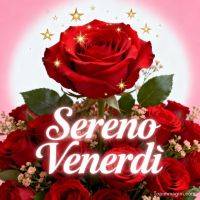 Rose rosse con stelline dorate e scritta augurale su sfondo rosa